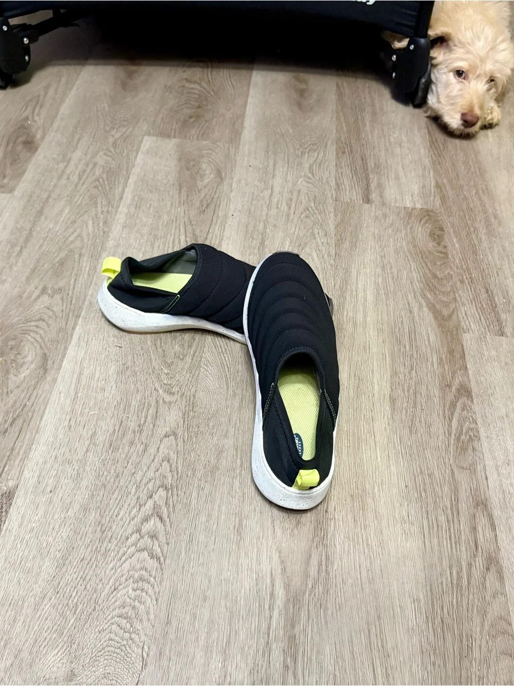 Dr. Scholl's Black Quilted Slip-On Sneakers